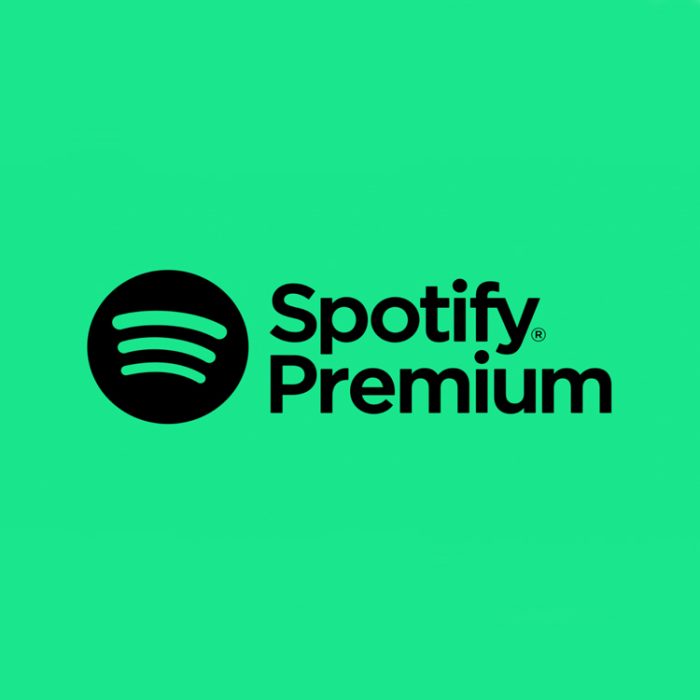 Spotify Premium Upgrade 12 Months - Image 1
