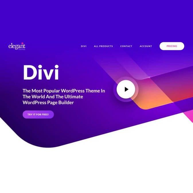 Divi WordPress Theme - Image 1